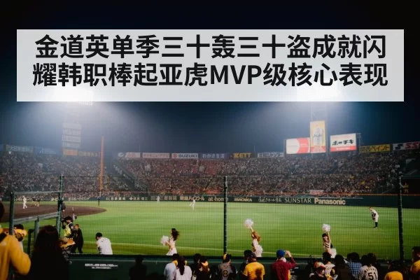baseball stadium night game