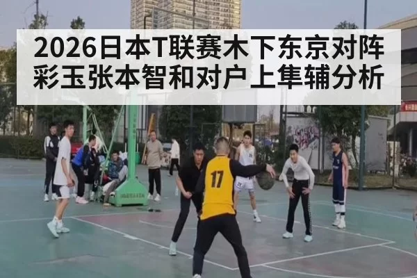 2026日本T联赛木下东京对阵彩玉张本智和对户上隼辅分析